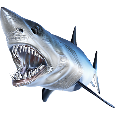 Nalepke Mako Shark, samolepilne - AUR082