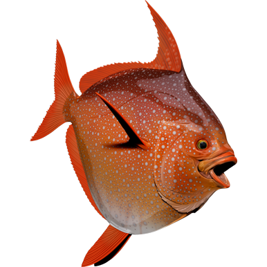 Opah nalepke, samolepilne - AUR086