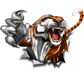 Tiger rip nalepke za avto ali motorno kolo. AUR011