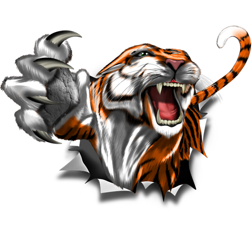 Tiger rip nalepke za avto ali motorno kolo. AUR011