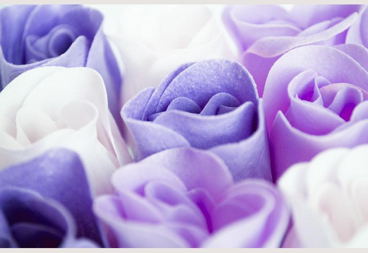 Samolepilne stenske tapete  Purple roses SW061