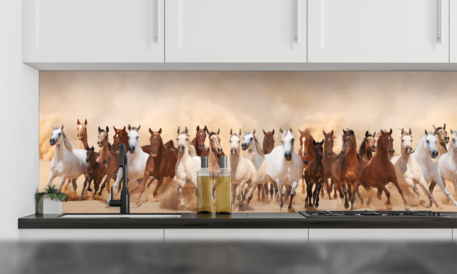 Kuhinjski paneli Horses in run - Pleksi steklo - s tiskom za kuhinjo, Stenske obloge PKU012