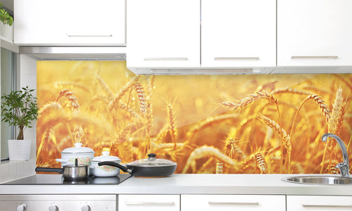 Kuhinjski paneli  Wheat field - Stekleni / PVC plošče / Pleksi steklo - s tiskom za kuhinjo, Stenske obloge PKU017 - Life-decor.si