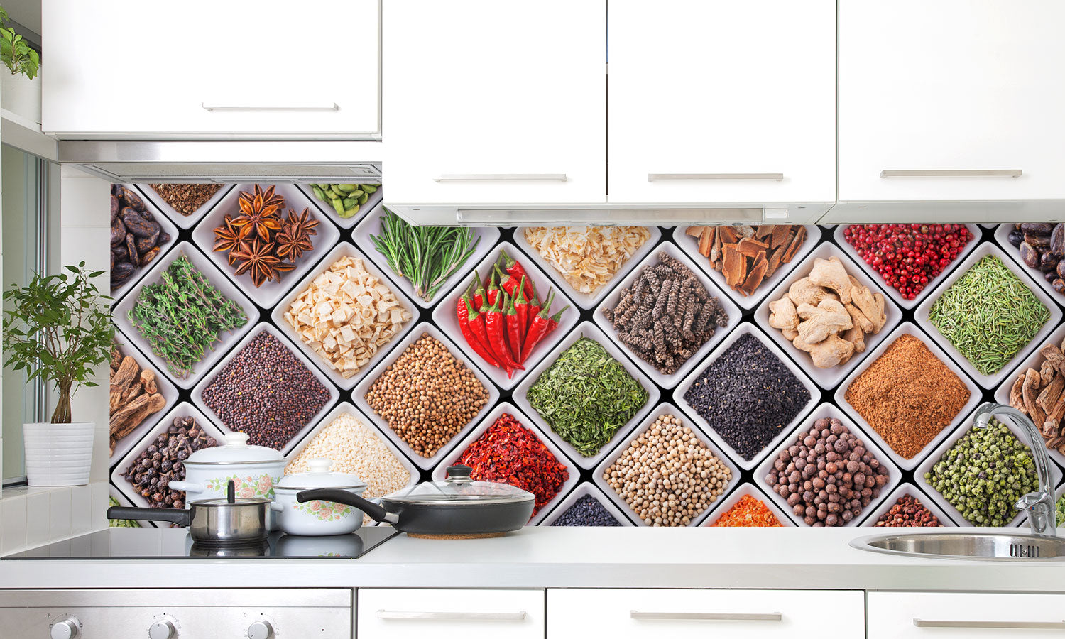Kuhinjski paneli Spices and herbs - Pleksi steklo - s tiskom za kuhinjo, Stenske obloge PKU0181