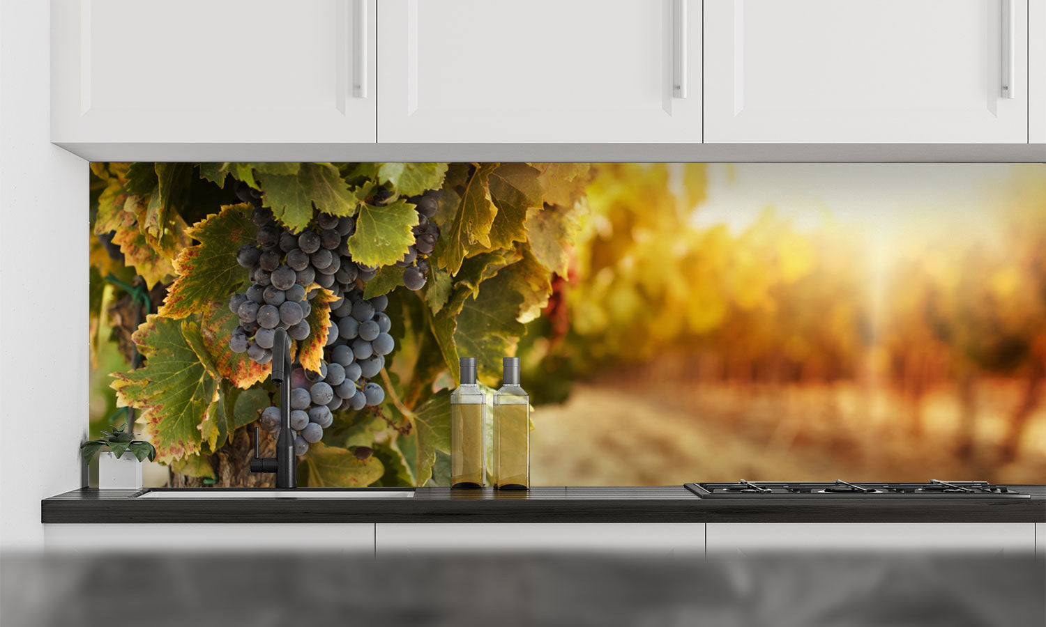 Kuhinjski paneli Vineyards at sunset - Pleksi steklo - s tiskom za kuhinjo, Stenske obloge PKU0192
