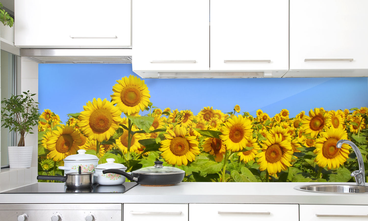 Kuhinjski paneli Sončnice - Pleksi steklo - s tiskom za kuhinjo, Stenske obloge PKU0203
