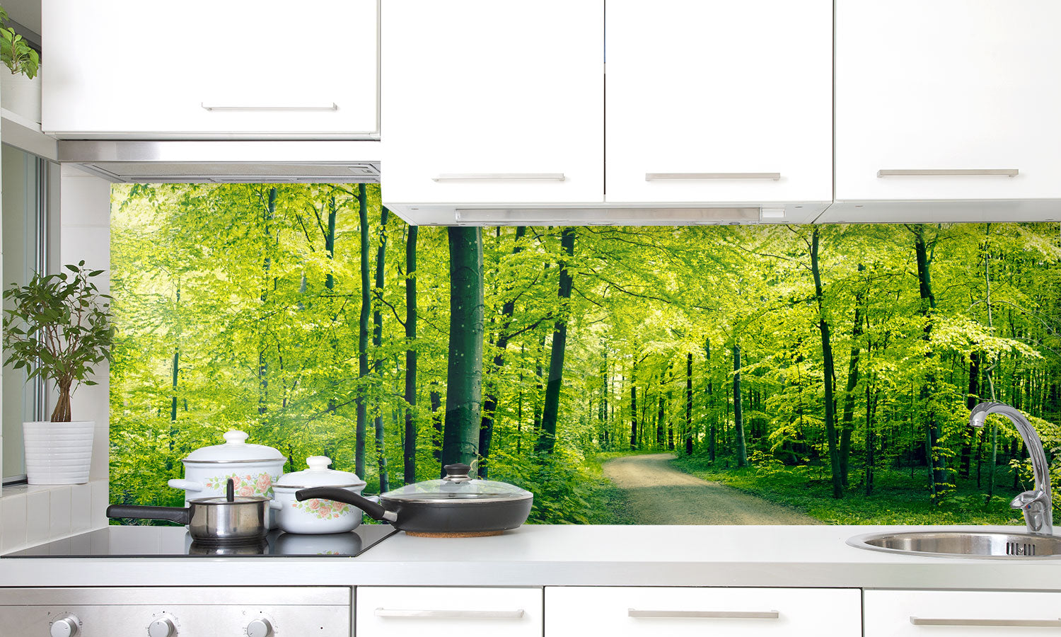 Kuhinjski paneli Green forest - Pleksi steklo - s tiskom za kuhinjo, Stenske obloge PKU0205