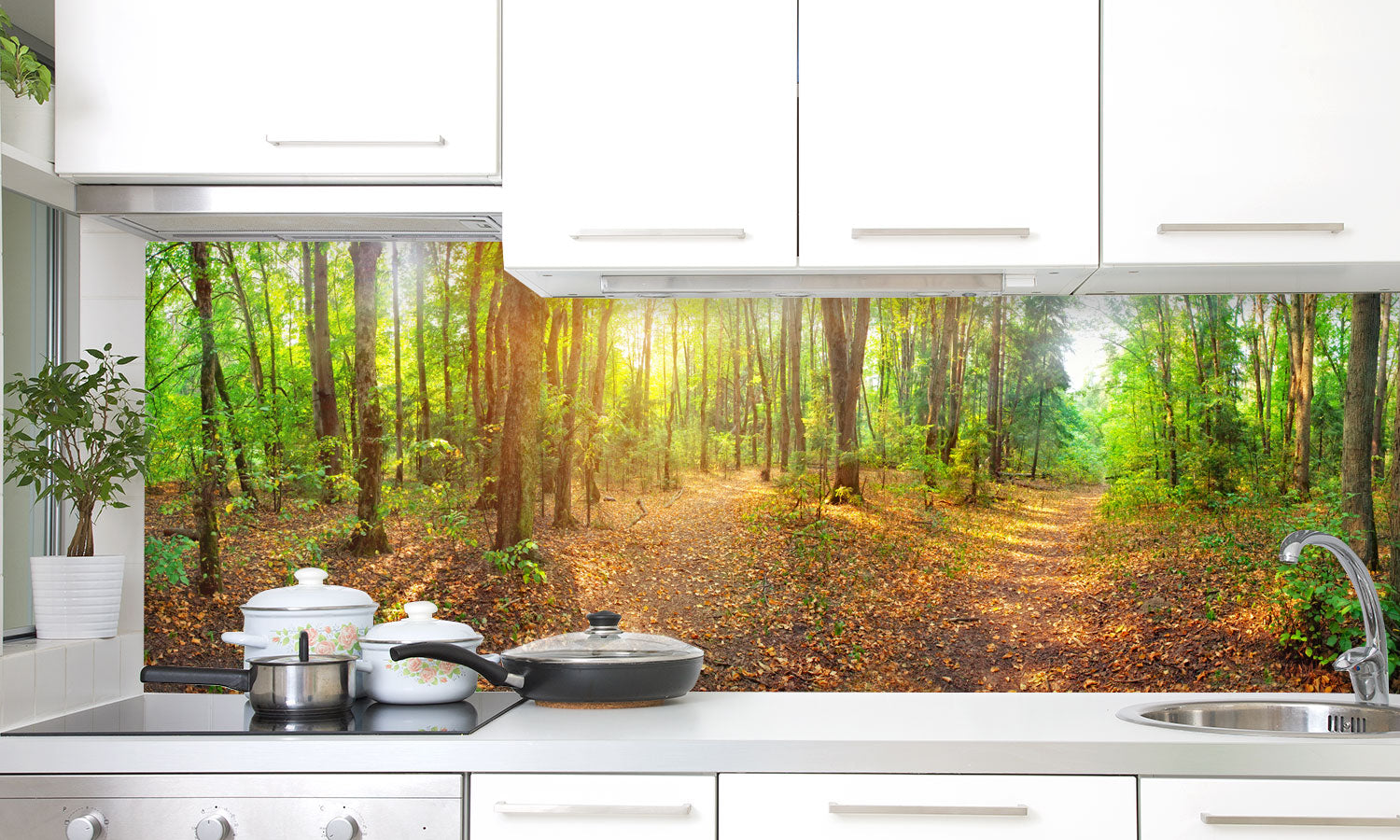 Kuhinjski paneli Forest - Pleksi steklo - s tiskom za kuhinjo, Stenske obloge PKU0210