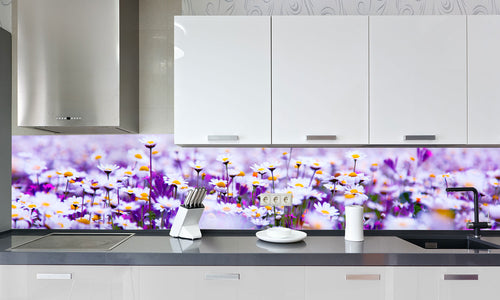 Kuhinjski paneli Daisy field - Stekleni / PVC plošče / Pleksi steklo - s tiskom za kuhinjo, Stenske obloge PKU0211 - Life-decor.si