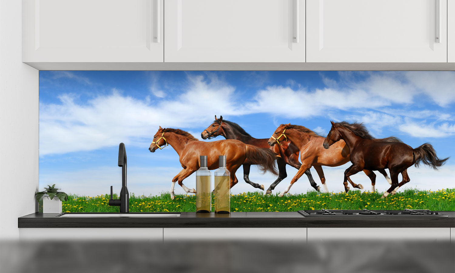 Kuhinjski paneli Herd gallops - Pleksi steklo - s tiskom za kuhinjo, Stenske obloge PKU0227