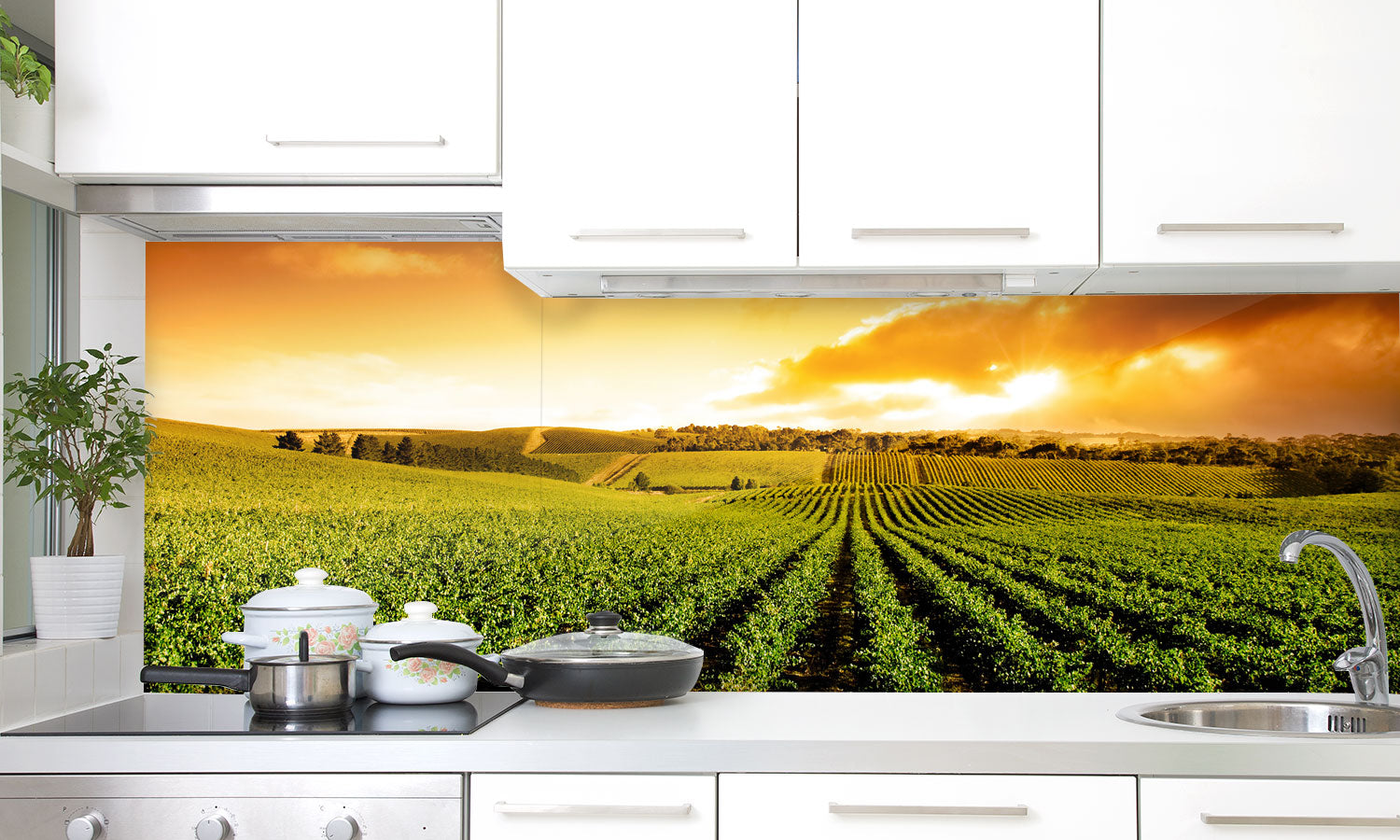 Kuhinjski paneli Sunset Vineyard Panorama - Pleksi steklo - s tiskom za kuhinjo, Stenske obloge PKU0237
