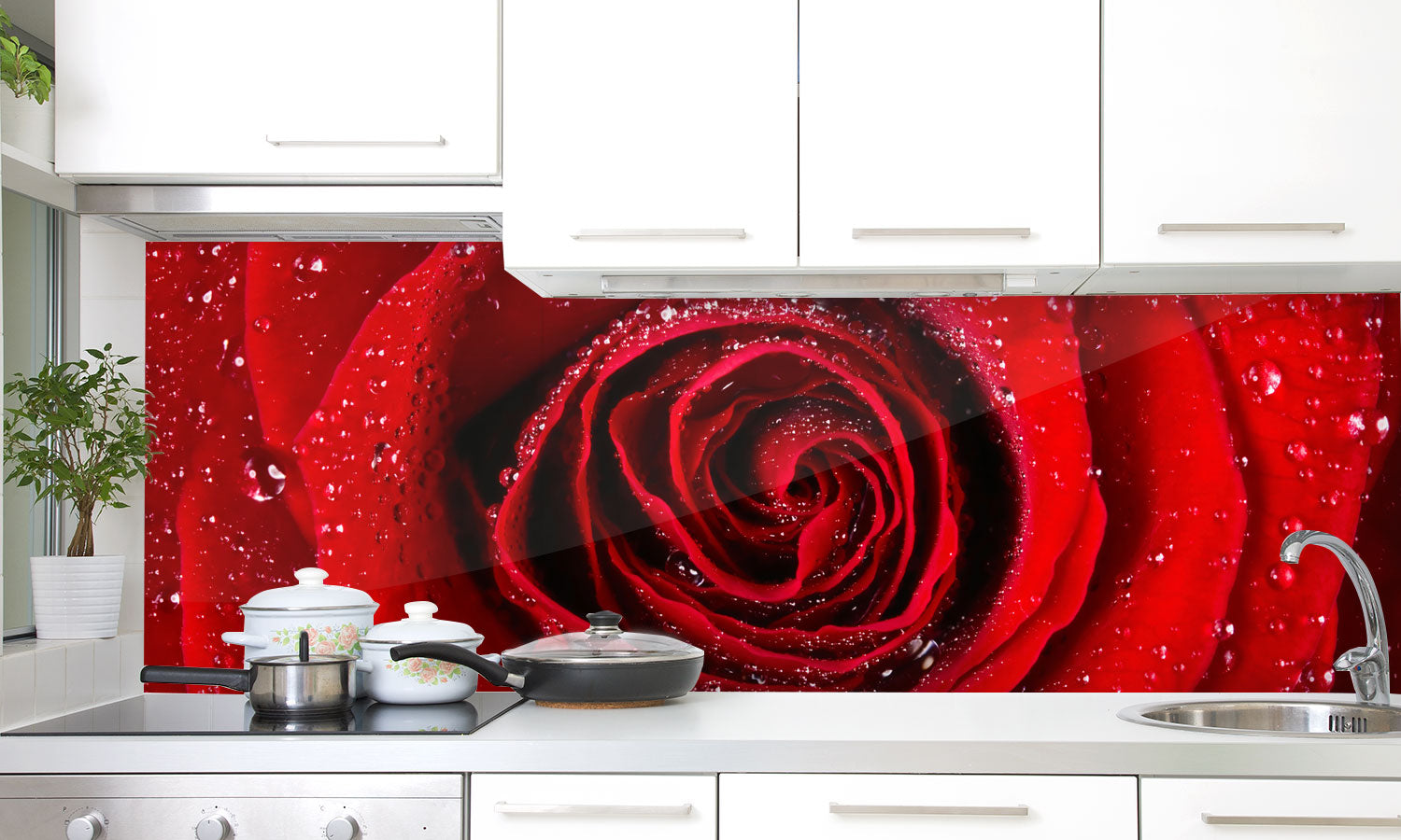 Kuhinjski paneli Rdeča vrtnica - Pleksi steklo - s tiskom za kuhinjo, Stenske obloge PKU0275