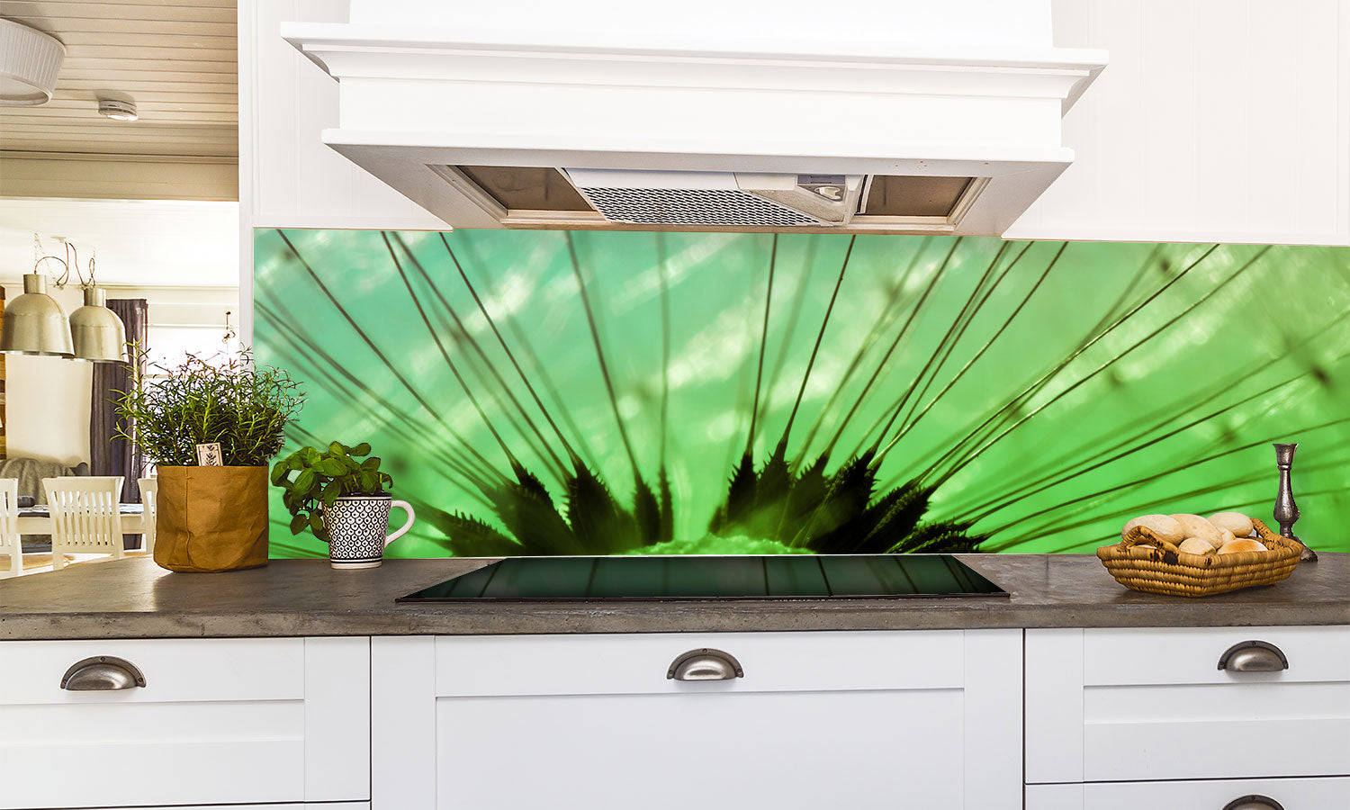 Kuhinjski paneli Macro of dandelion - Pleksi steklo - s tiskom za kuhinjo, Stenske obloge PKU0281