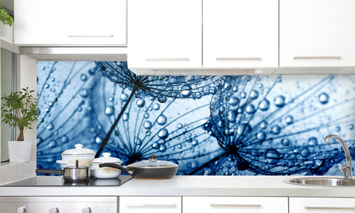 Kuhinjski paneli Dandelion flower - Stekleni / PVC plošče / Pleksi steklo - s tiskom za kuhinjo, Stenske obloge PKU0286 - Life-decor.si