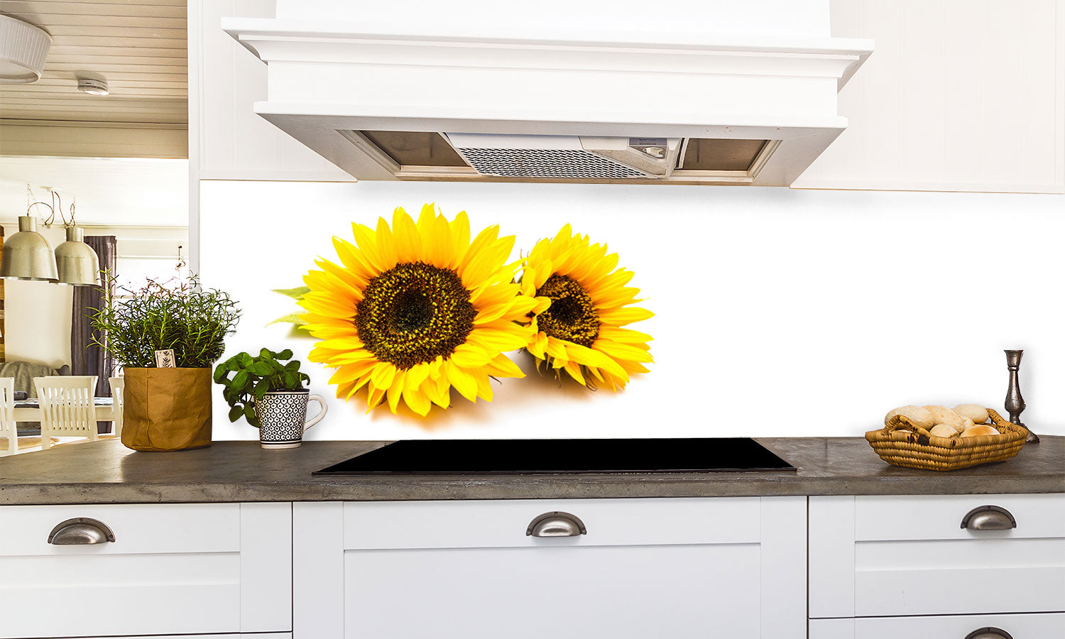 Kuhinjski paneli Sunflowers on the white background - Pleksi steklo - s tiskom za kuhinjo, Stenske obloge PKU0292
