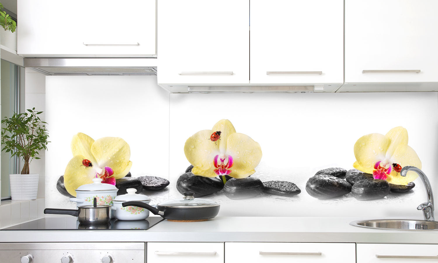 Kuhinjski paneli Yellow orchids - Pleksi steklo - s tiskom za kuhinjo, Stenske obloge PKU0327