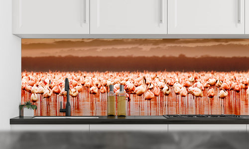 Kuhinjski paneli African flamingos - Stekleni / PVC plošče / Pleksi steklo - s tiskom za kuhinjo, Stenske obloge PKU0329 - Life-decor.si