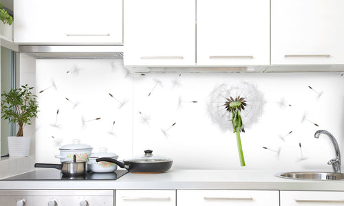 Kuhinjski paneli Dandelion with blowing petals - Stekleni / PVC plošče / Pleksi steklo - s tiskom za kuhinjo, Stenske obloge PKU0283 - Life-decor.si