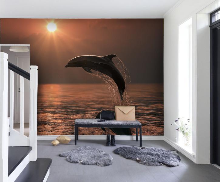 Samolepilne stenske tapete  Beautiful Dolphins SW398